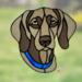 Weimaraner Stained Glass Suncatcher- shown with blue collar.
