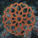Handcrafted Wooden Victorian Style Fretwork Christmas Tree Ornament Made In the USA