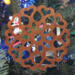 Handcrafted Wooden Victorian Style Fretwork Christmas Tree Ornament Made In the USA