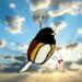Junco- Oregon stained glass Suncatcher