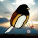 Oregon Junco stained glass Suncatcher