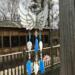 Little Angel Wind Chime by Robin C. Hary- blue
