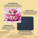 Teacher gift mouse pad with pink cow. Floral cow mouse pad with non-slip back.Personalize it! Material: top-polyester, bottom-rubber