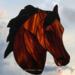 Morgan Horse- Bay