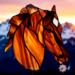 Morgan Horse- Chestnut with star marking.