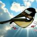 Chickadee stained glass suncatcher made of brown and cream glass