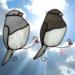 Junco Suncatchers in direct sunlight- light gray and dark gray glass with white glass Juncos.