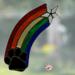 Rainbow Bridge Suncatcher- Black Paw