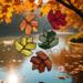 Mini maple leaves 5 Color Set (top l-r): Orange, Red, Green, Autumn Flame, and Yellow.