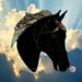 American Saddlebred by Robin C. Hary- Shown in Black.