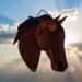 American Saddlebred by Robin C. Hary- Shown in Chestnut.