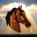 American Saddlebred by Robin C. Hary- Shown in Dun