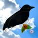 Crow Stained Glass Suncatcher by Robin C. Hary- made of black glass with lampworked sunflower and copper wire accents.