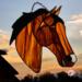 American Saddlebred by Robin C. Hary- Shown in Dun with snip marking.