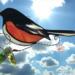 Eastern Towhee Stained Glass Suncatcher by Robin C. Hary
