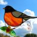 Robin Stained Glass Suncatcher by Robin C. Hary- featuring a lampworked Daffodil and leaves on a twisted copper wire branch.