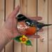 Robin Stained Glass Suncatcher by Robin C. Hary- being held for size reference.