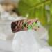 Opal, Polymer Clay and Stainless Steel Glow in the Dark Fantasy Ring Side View 2
