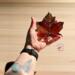 Sugar Maple Leaf stained glass ornament being held for size reference. 5"x5".