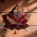 Sugar Male Leaf stained glass ornament hanging on a rustic barn wall wall. Made of a glass that has red, orange and yellow swirled within it, giving the look of a real sugar maple leaf.