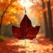 Red Maple Leaf stained glass ornament made with rich red glass.
