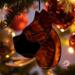 Cane Corso stained glass ornament shown hanging on a Christmas tree.