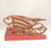 Handcrafted wooden tropical fish ornament made from 1/4-inch thick oak, finished with shellac, designed for holiday decor or year-round display as wall art.