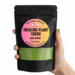 2LB Bulk Organic Insulina Plant Powder (Costus Igneus) in a clear resealable pouch