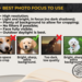 Pet photo tips for best printing results on tumbler