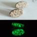 Animal Print Glow in the Dark Stud Earrings Daytime and Nighttime View