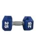 Dumbbell Fun Business Card Holder Carrier House Customizable Design Fitness Gym office decor gym fitness gift health wellness exercise