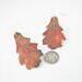 Copper Oak Leaf Earring with dime