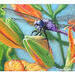 Close up Dragonfly Painting