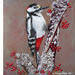 Close up of WoodPecker Painting