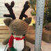 Christmas Reindeer