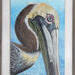 Close up of Pelican Painting