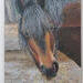 CLoseup of Horse Painting
