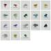 Color Options