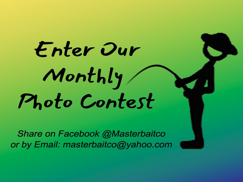 Enter your catch photos for a chance to win free lures